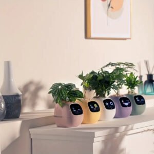 Artificial Intelligence AI Pet Flower Pot Planting Robot Plant Care Guide Time Temperature Display Flower Pot